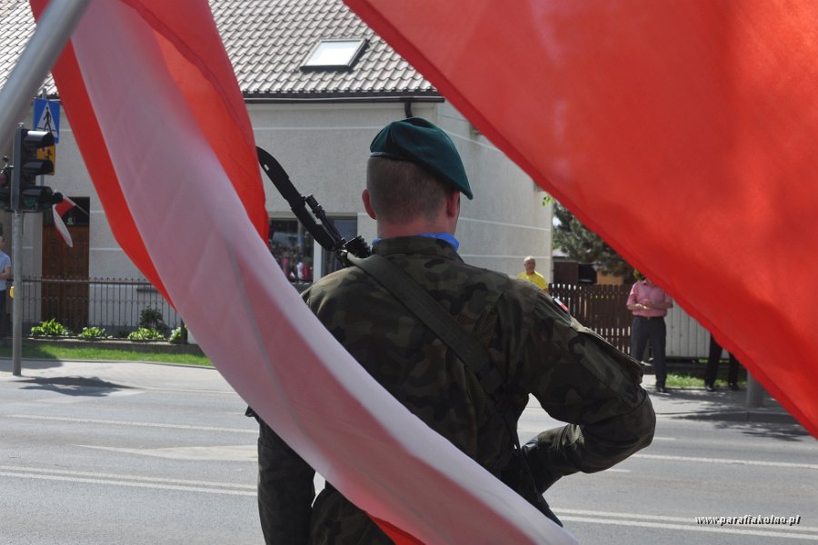 133 Patriotyczna manifestacja.jpg